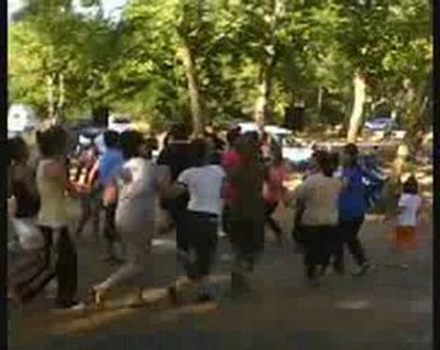 branichevo.com sunar (sharvi koyu) piknik horo