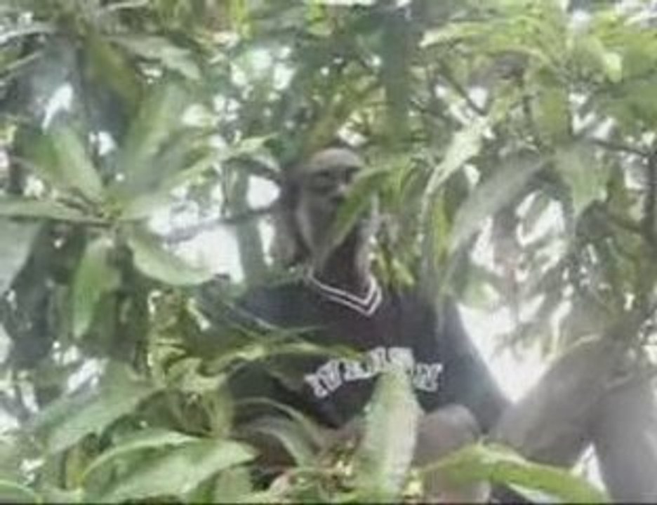 Amazone Clan ft Jaff amazone