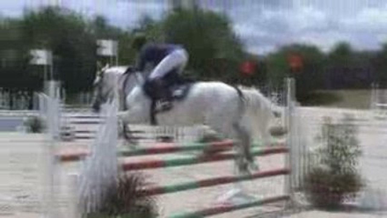 Hermine & Gibier Lamotte 2009 2ème jour C2p