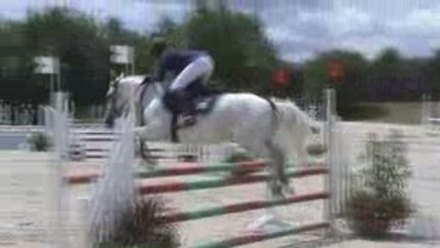 Hermine & Gibier Lamotte 2009 2ème jour C2p