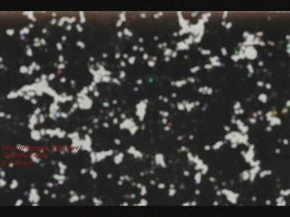 The Sun Surface, A Place of Celestial Life