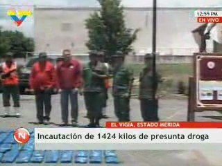 Incautados más de mil 400 kilos de drogas en Mérida