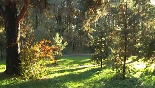 Золотая осень Indian summer