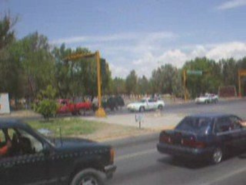 MI CIUDAD ESTA ENFERMA