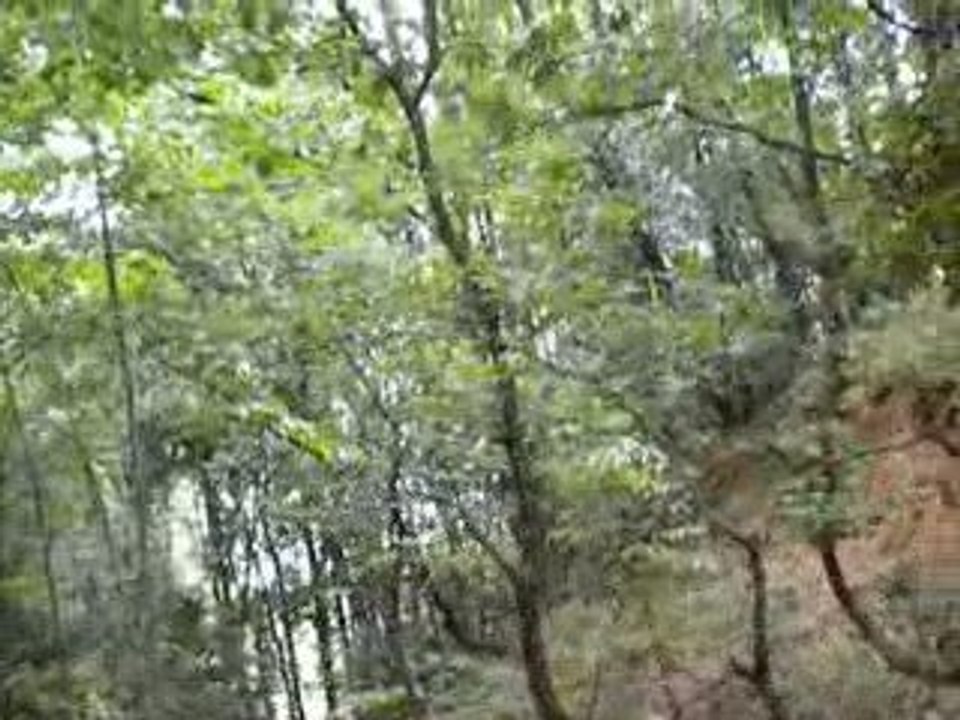 ΜΟΝΟΠΑΤΙΑ ΣΤΟ ΣΚΛΗΘΡΟ ΛΑΡΙΣΑΣ ΑΓΙΟΚΑΜΠΟΣ
