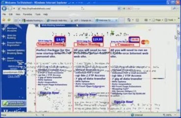 Cheap Website Hosting in Orlando - Here's Where to Find it