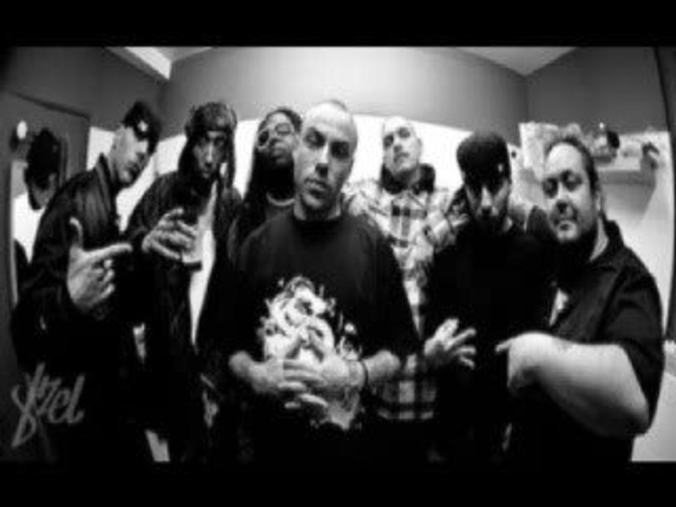 Swift Guad - Regard Perçant