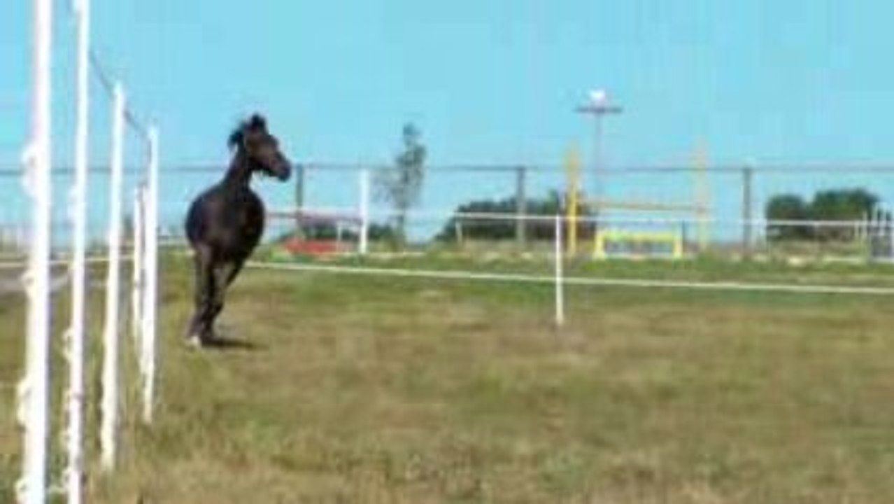 test video