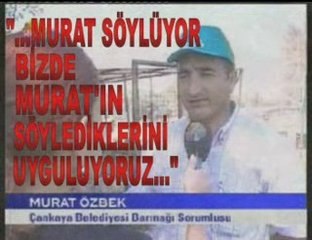 CANKAYA KOPEK KATLIAMLARI...