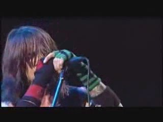red hot chili peppers wet stand (live)