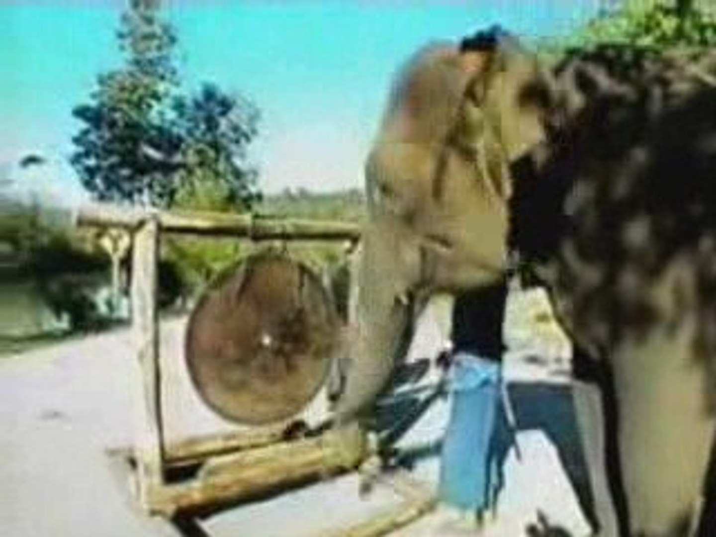 ⁣Elephant Orchestra