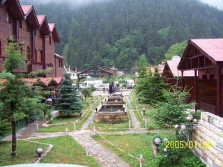 Mustafa Bektaş | Cerrahpaşa