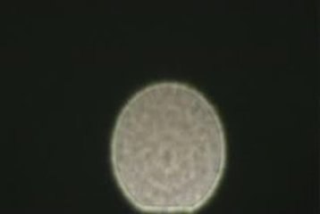 UFO Sighting August 13th 2009-Video