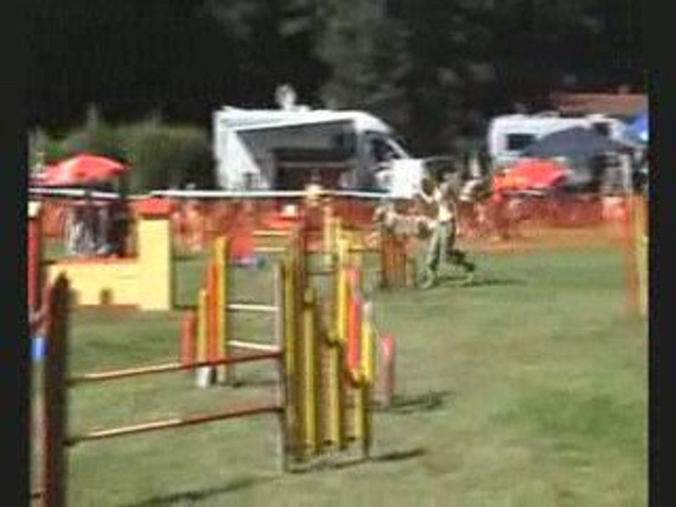 apie jumping belfort nord