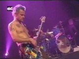 red hot chili peppers ı could die for you