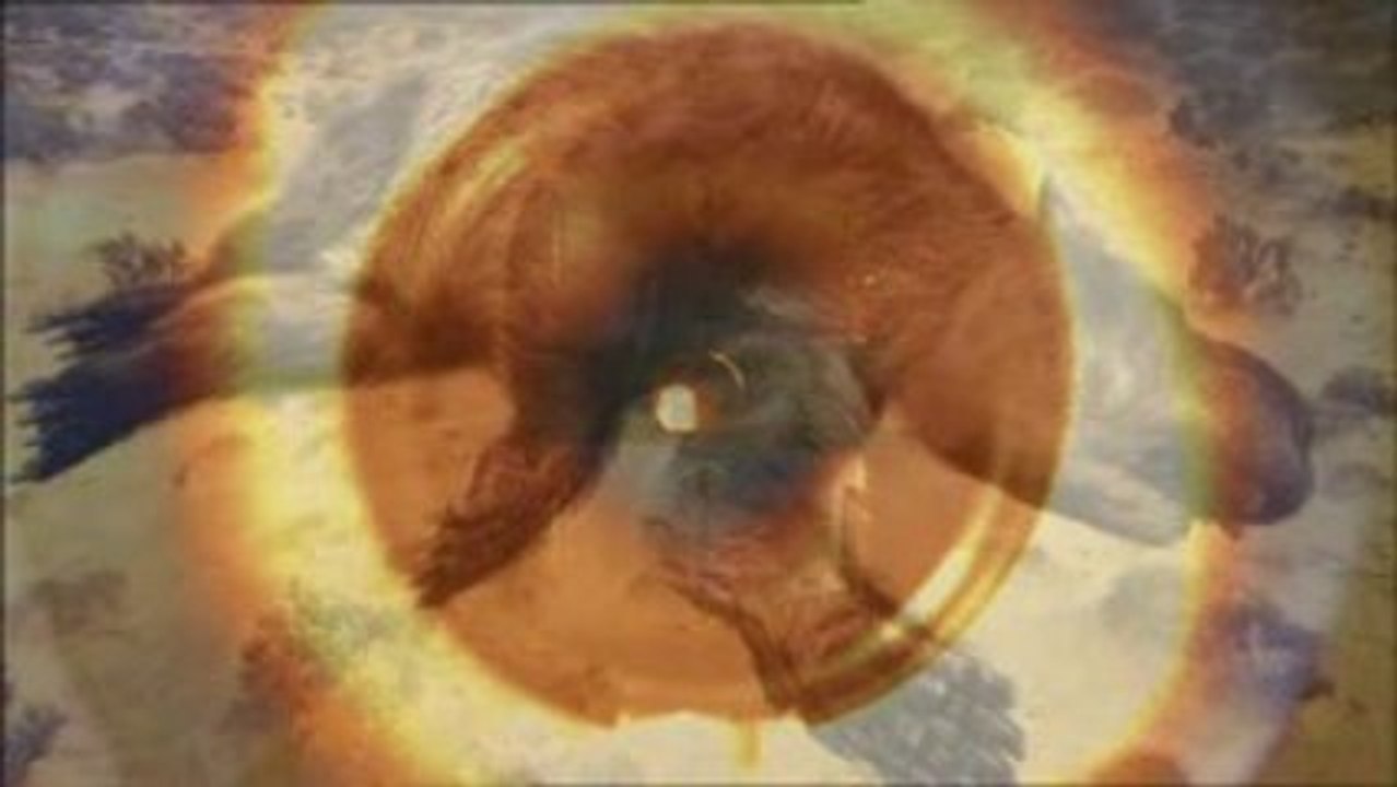 Disparition de la Mégafaune d'Australie -2_5