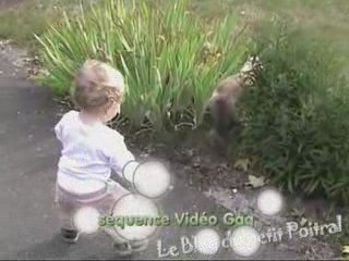 Tao ne marche pas , il galope