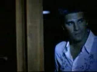 Faces on the WB 2001