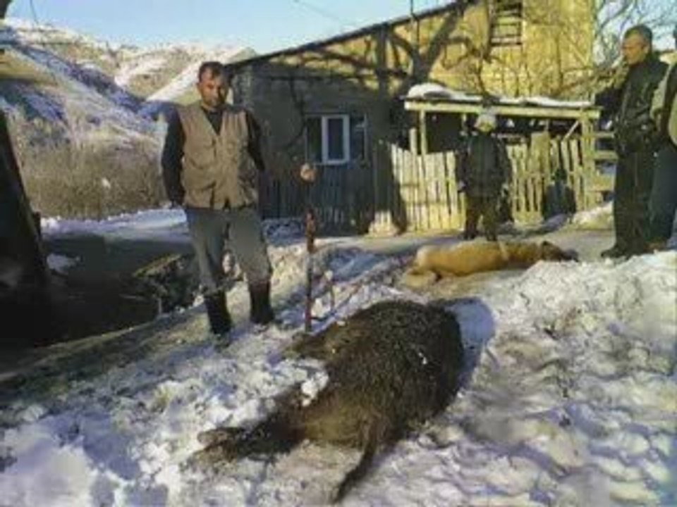 Dedeli Köyü
