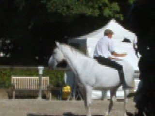 Haras de la Vendée