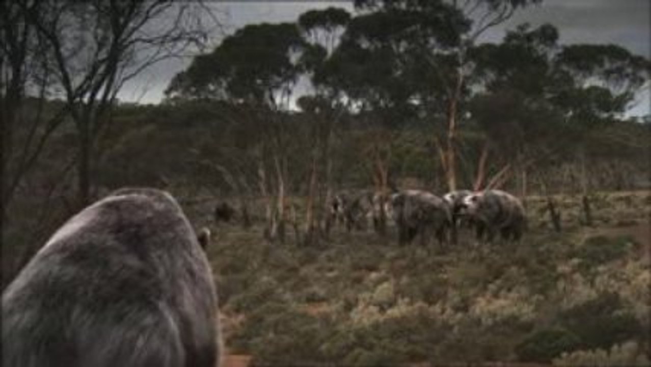Enquête sur les géants de la mégafaune d'Australie 4_5