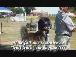 Clint le leonberg passe le CSAU