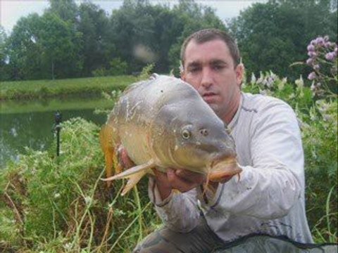 carpes carpo91 bientot Limoges