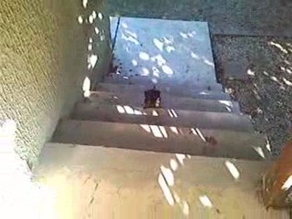 la montée des marches