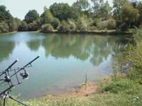 plan d'eau peuplé d'amour blanc et de carpe