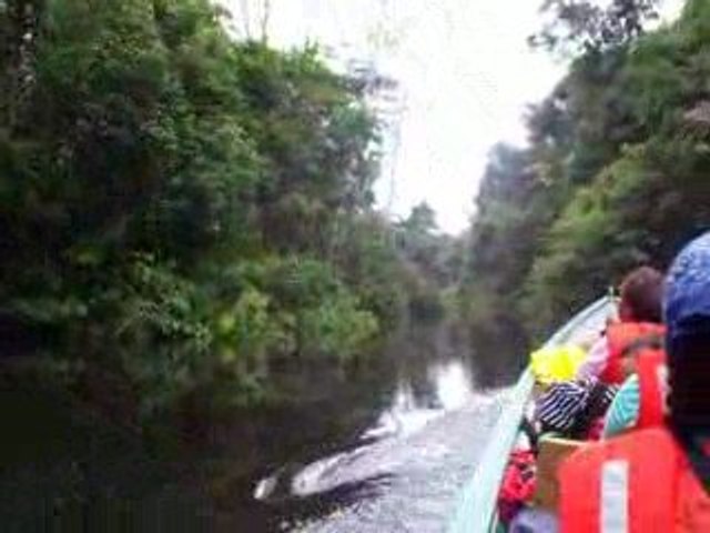 Pirogue Cuyabeno