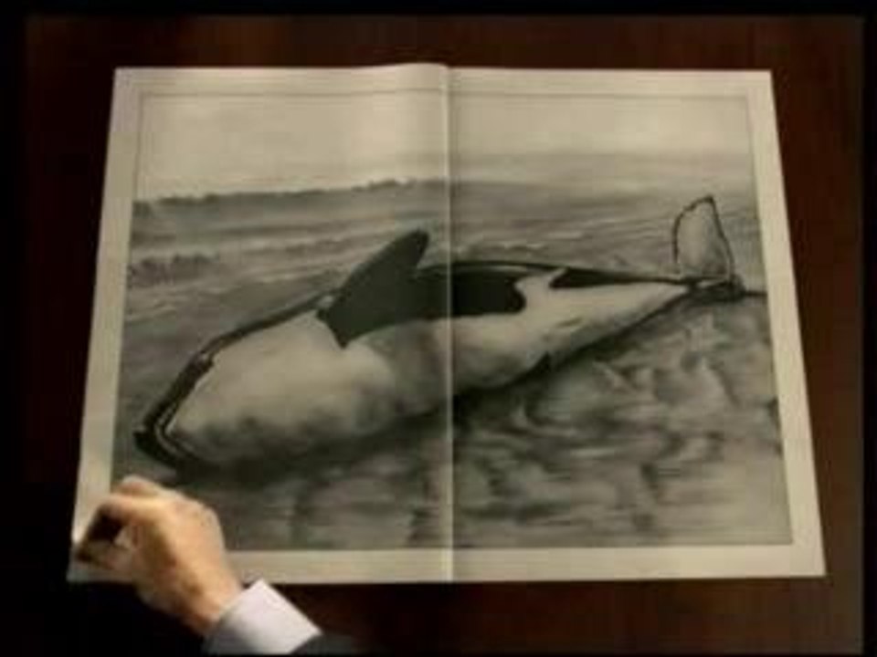 pub pour la presse régionale