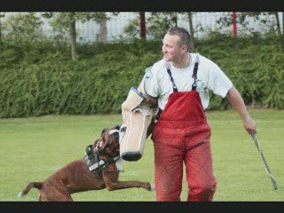 CAESAR stage RCI Luxembourg