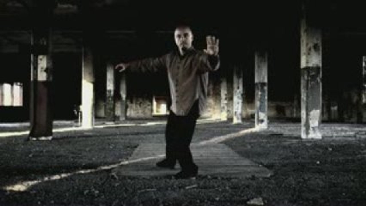 Yang Family Tai Chi Chuan - Forme 49 Form - Marco Gagnon