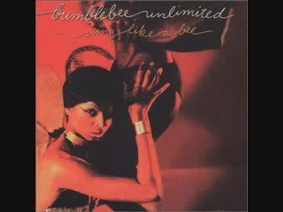 70's disco/boogie funk- Bumblebee Unlimited- i got a big bee
