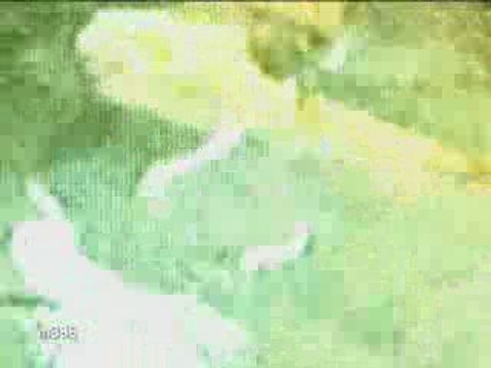 VH1 Latino - ID Piscina