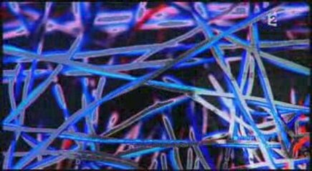 FACEBOOK dévoiler sa vie privée2