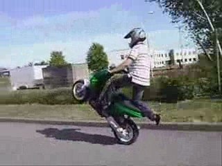 STUNTSHINE - CASTORAMA