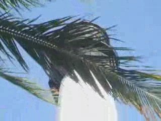 CAPE FLORIDA LIGHTHOUSE - FL