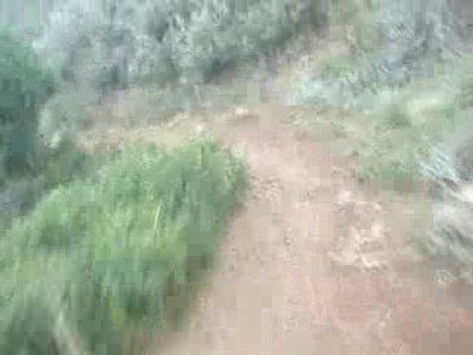 MOV01952