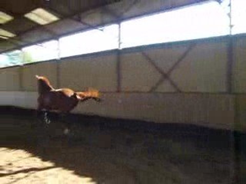 reflet saut en liberté