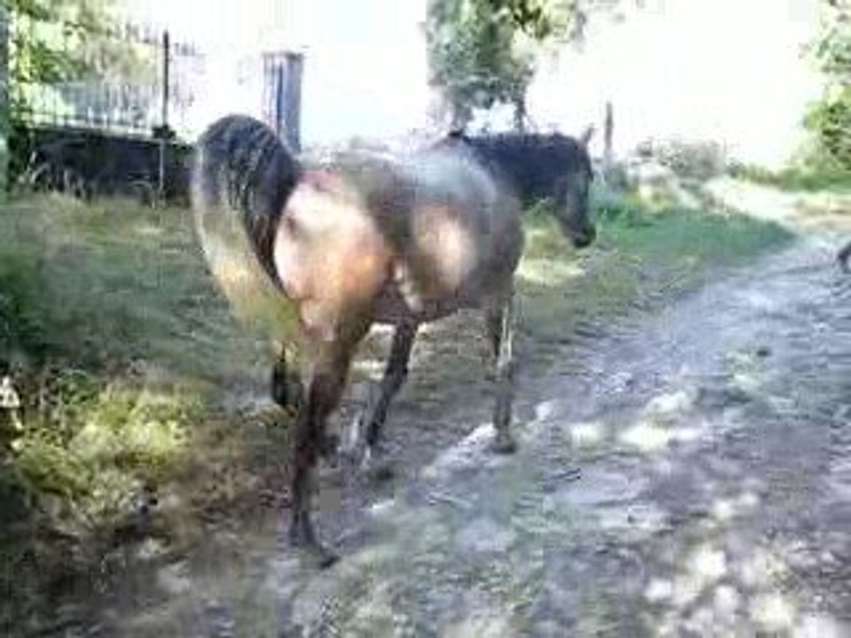 Zou pieds nus 4