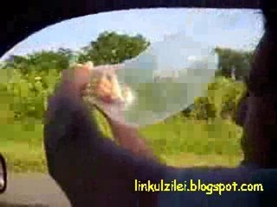 Condom on a Highway