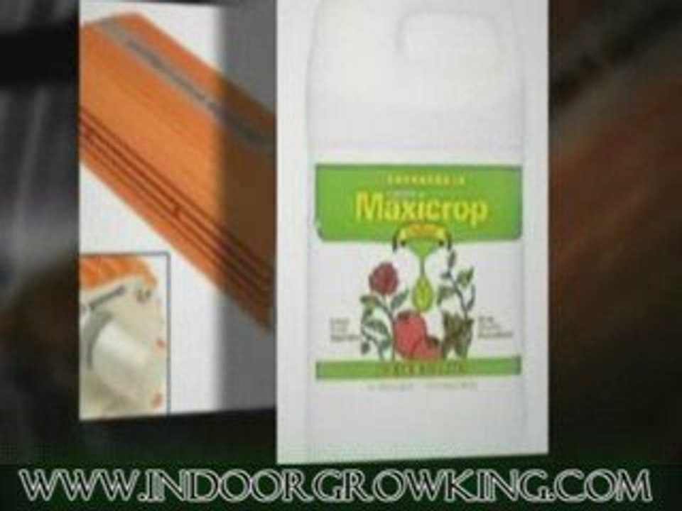 Aeroponic System | Aeroponic Systems | Aeroponics System