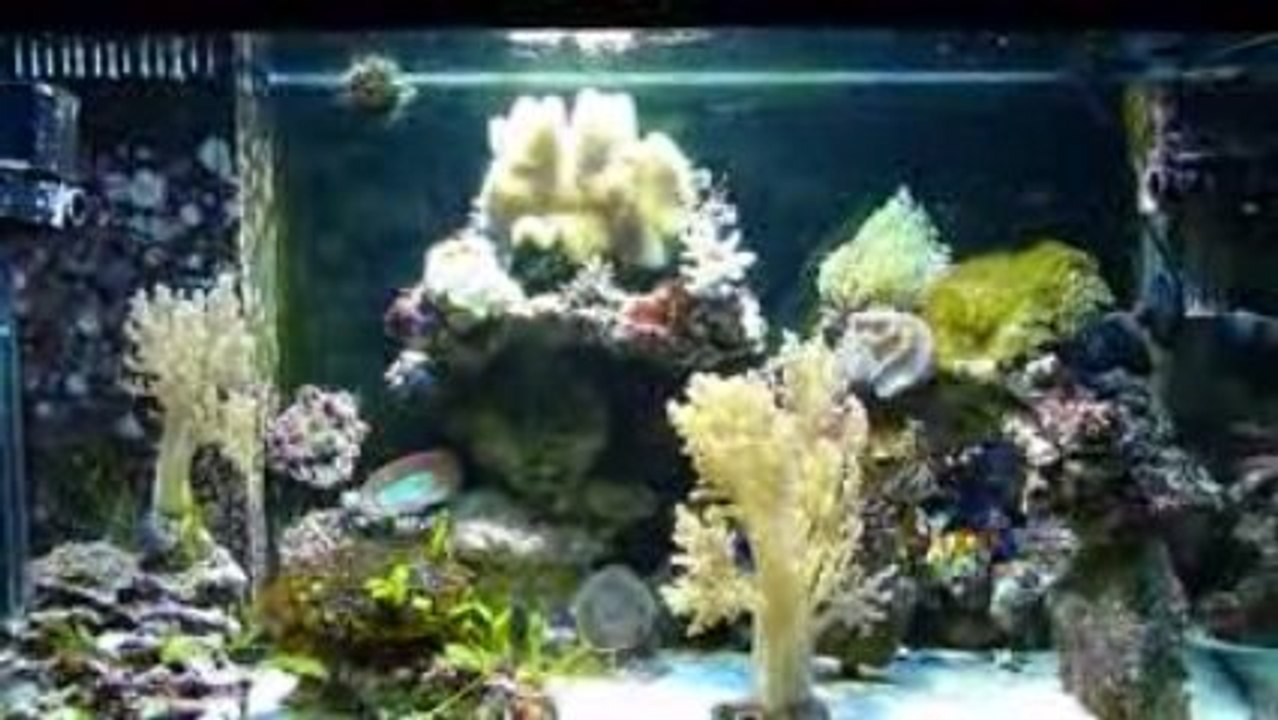 Photo 012