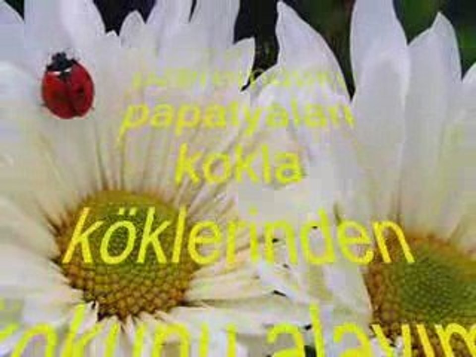 ben ölürsem eğer1