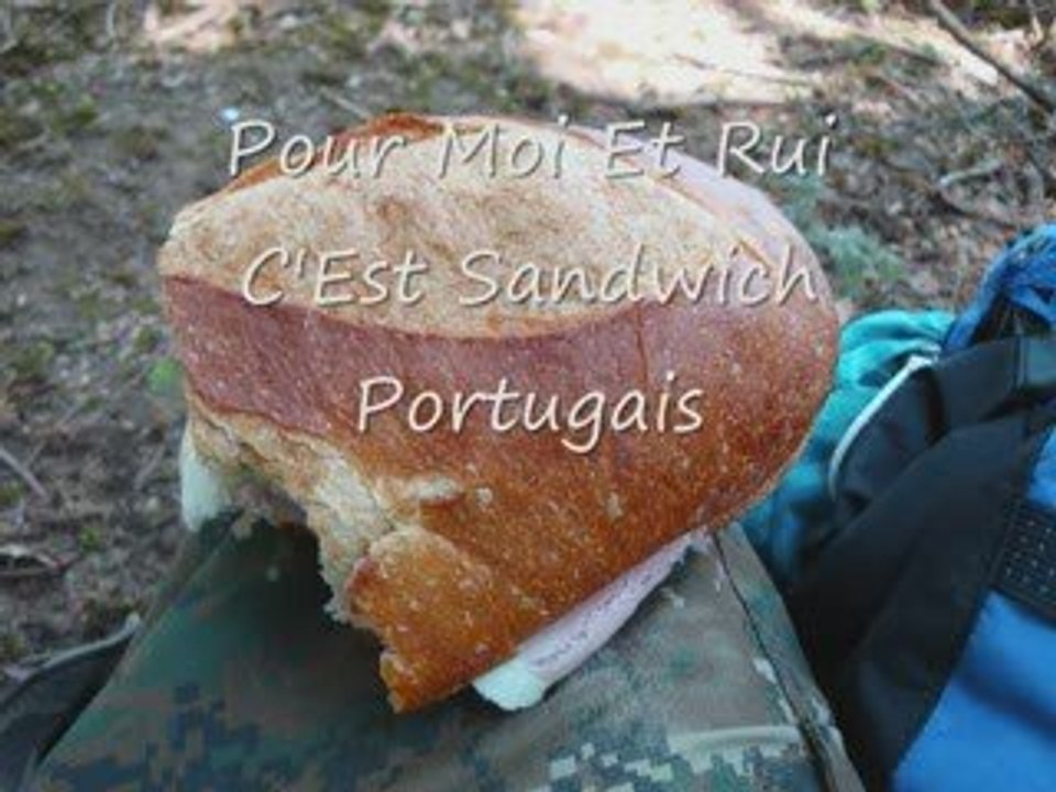 recrutement d airsoft