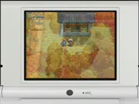 Pokemon SoulSilver HeartGold