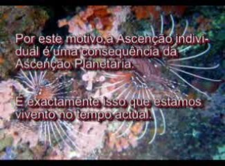 ASCENÇÃO HUMANA E PLANETÁRIA 2