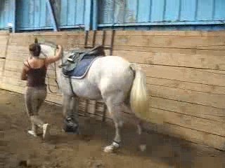 Start up débourrage lundi 13 aout 2009