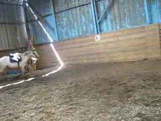 Start up débourrage lundi 13 aout 2009